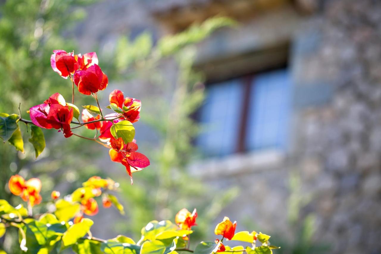 Filia Stone Villa Γουβιά Εξωτερικό φωτογραφία